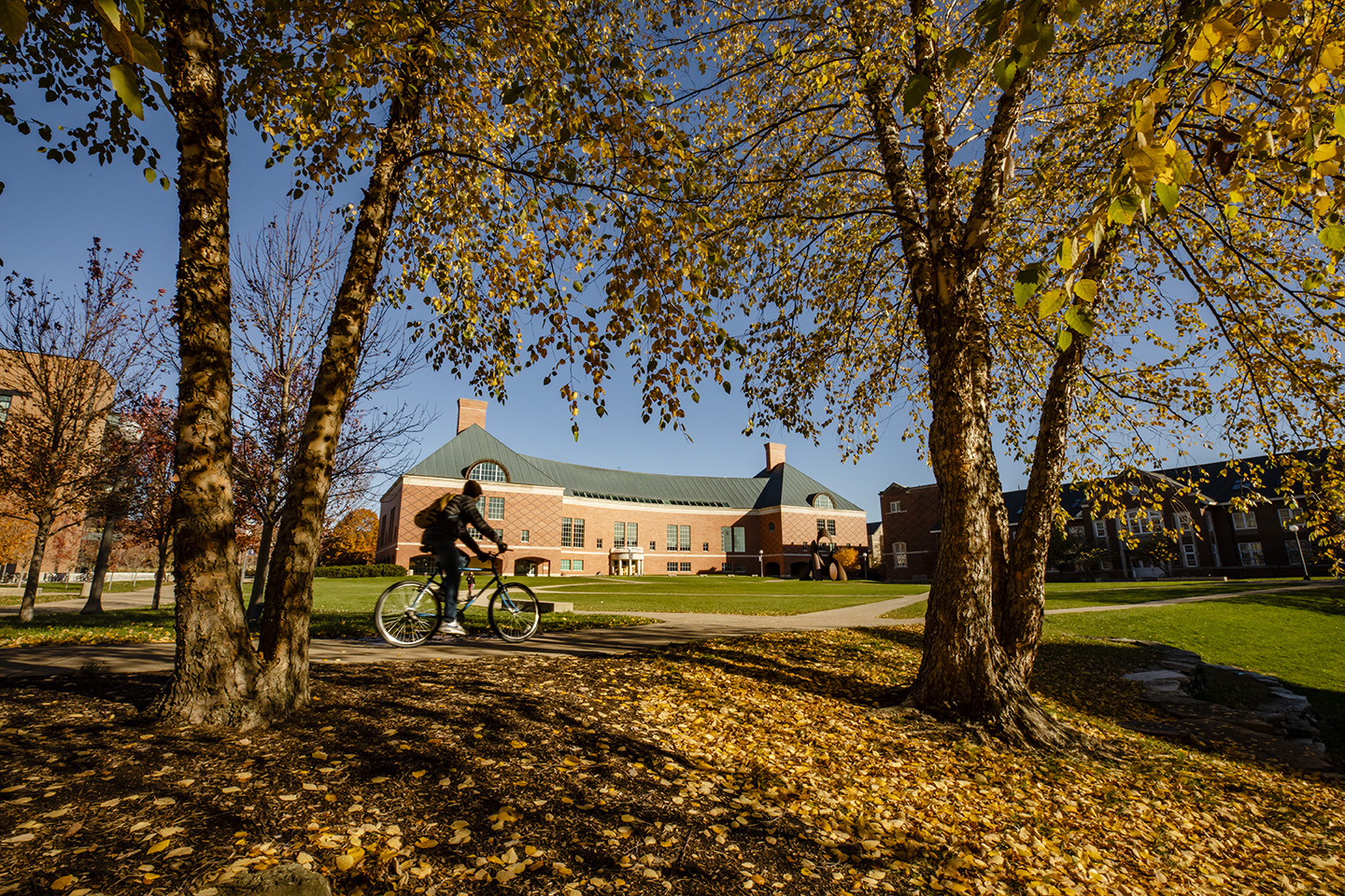 Student rides a bike across the Bardeen Quad as leaves fall on the ground